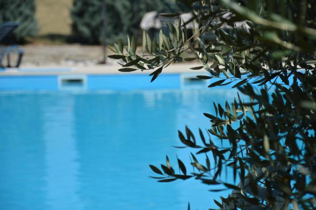 Holiday Home Atena Nova Vas  Exterior photo